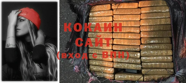 мет Новозыбков