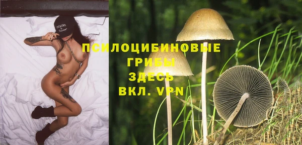 apvp Нязепетровск