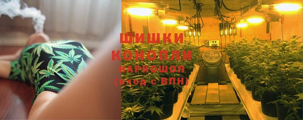спайс Нягань