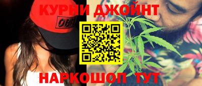 индика Бийск