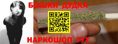 индика Бийск