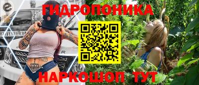 индика Бийск