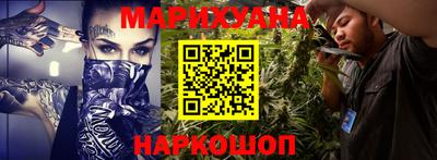 индика Бийск