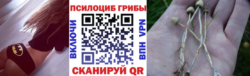 Галлюциногенные грибы мухоморы  наркошоп  omg рабочий сайт  Каменка 