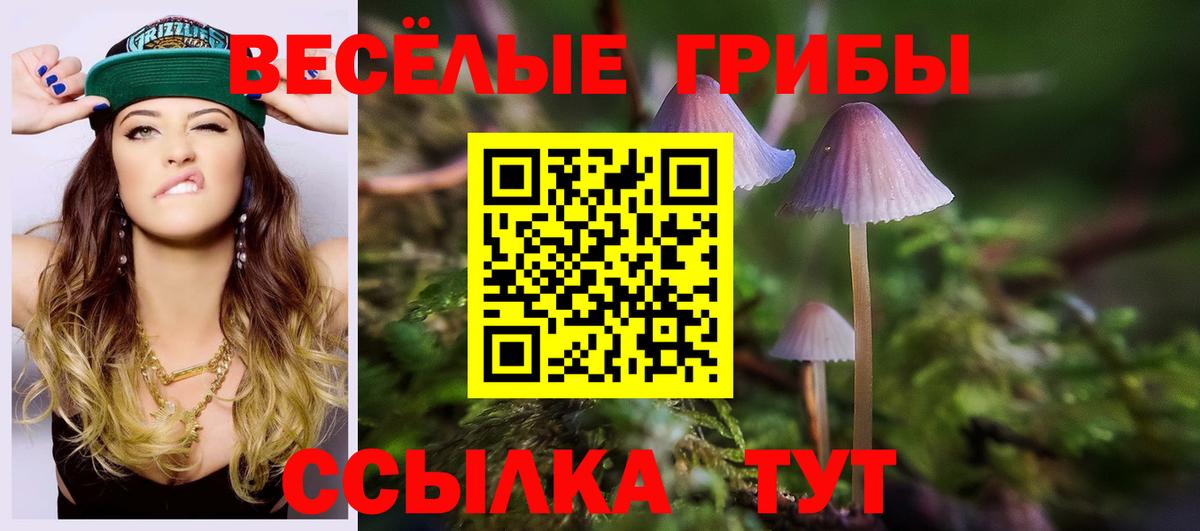 Псилоцибиновые грибы MAGIC MUSHROOMS Каменка