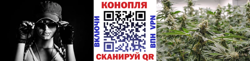 где можно купить   Каменка  Конопля план 